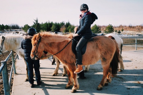 Icelandic horse riding