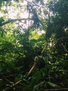 Bako national park