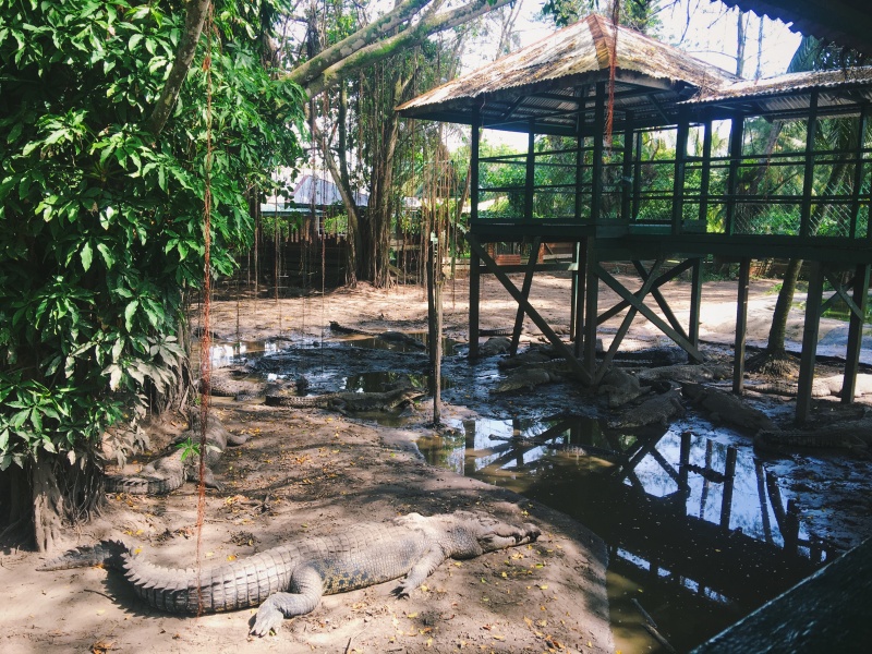 Miri Crocodile Farm & mini zoo, zoo,miri zoo, crocodile farm, malaysia, miri sarawak
