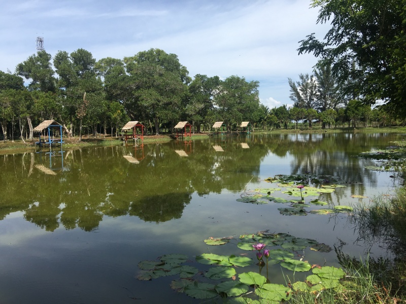 Miri Crocodile Farm & mini zoo, zoo,miri zoo, crocodile farm, malaysia, miri sarawak